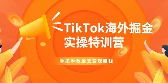 TikTok海外掘金实操特训营：手把手教运营变现赚钱-课程网