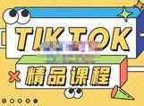 电商孵化中心·TikTok精品课程，教你玩转海外抖音，低成本创业，带您从0开始玩转TikTok-课程网