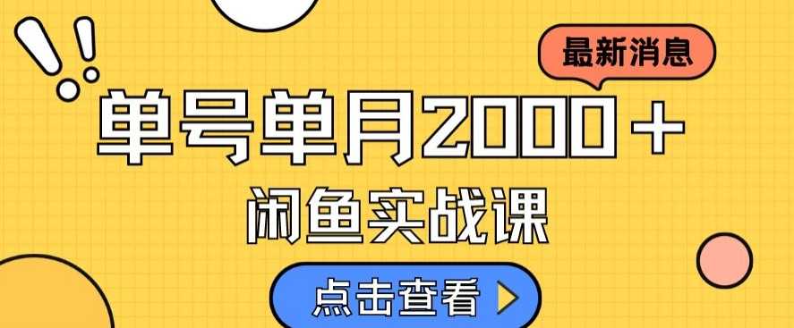 最新闲鱼日入500＋，虚拟资料变现喂饭级讲解-课程网