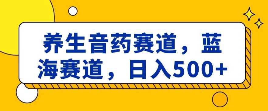 养生音药赛道，蓝海赛道，日入500+【揭秘】-课程网