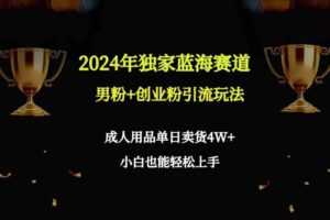 2024年独家蓝海赛道男粉+创业粉引流玩法，成人用品单日卖货4W+保姆教程-课程网