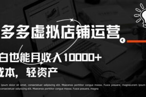 拼多多虚拟店铺运营小白也能月收入10000+【揭秘】-课程网