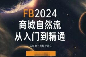 2024Faceboo商城自然流(从入门到精通)，玩转脸书商城全闭环-课程网